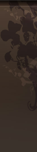 escort in Schweiz Swiss Highclass Escort Schweiz, Escortdamen home